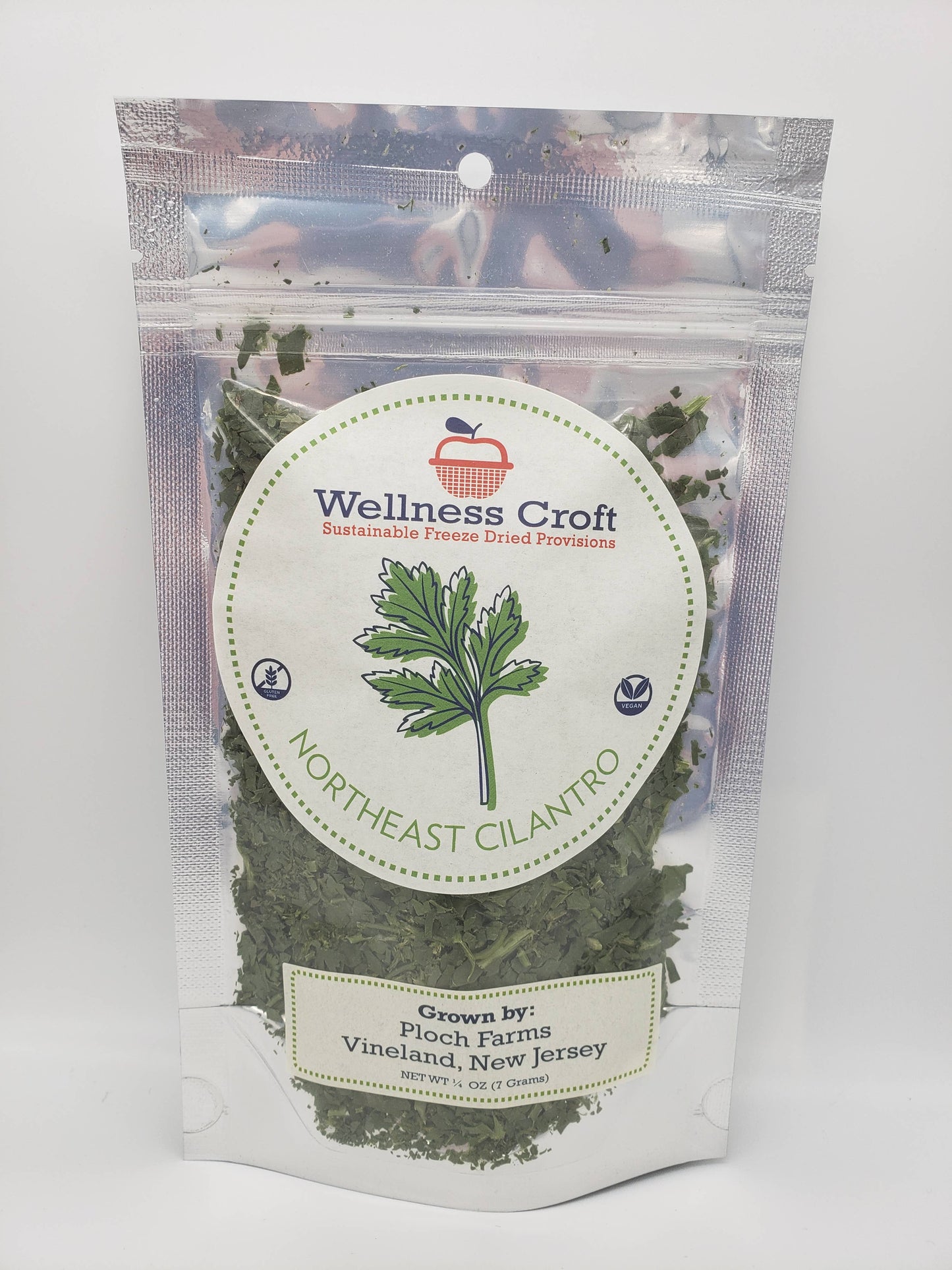 Cilantro Herb Freeze-dried Northeast