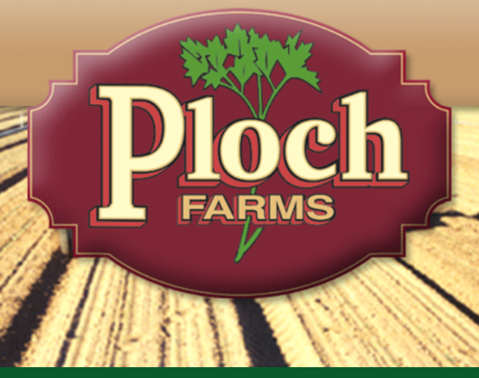 Sage Herb Freeze-dried Northeast