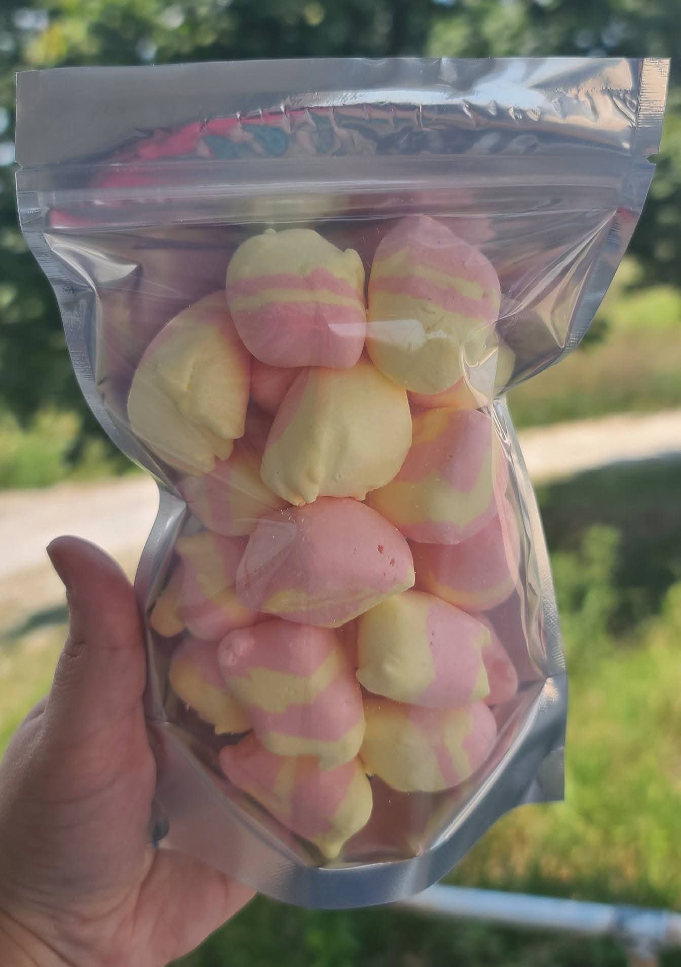 Saltwater Taffy – Freeze Dried Light, Airy, & Packed with Flavor 4 oz