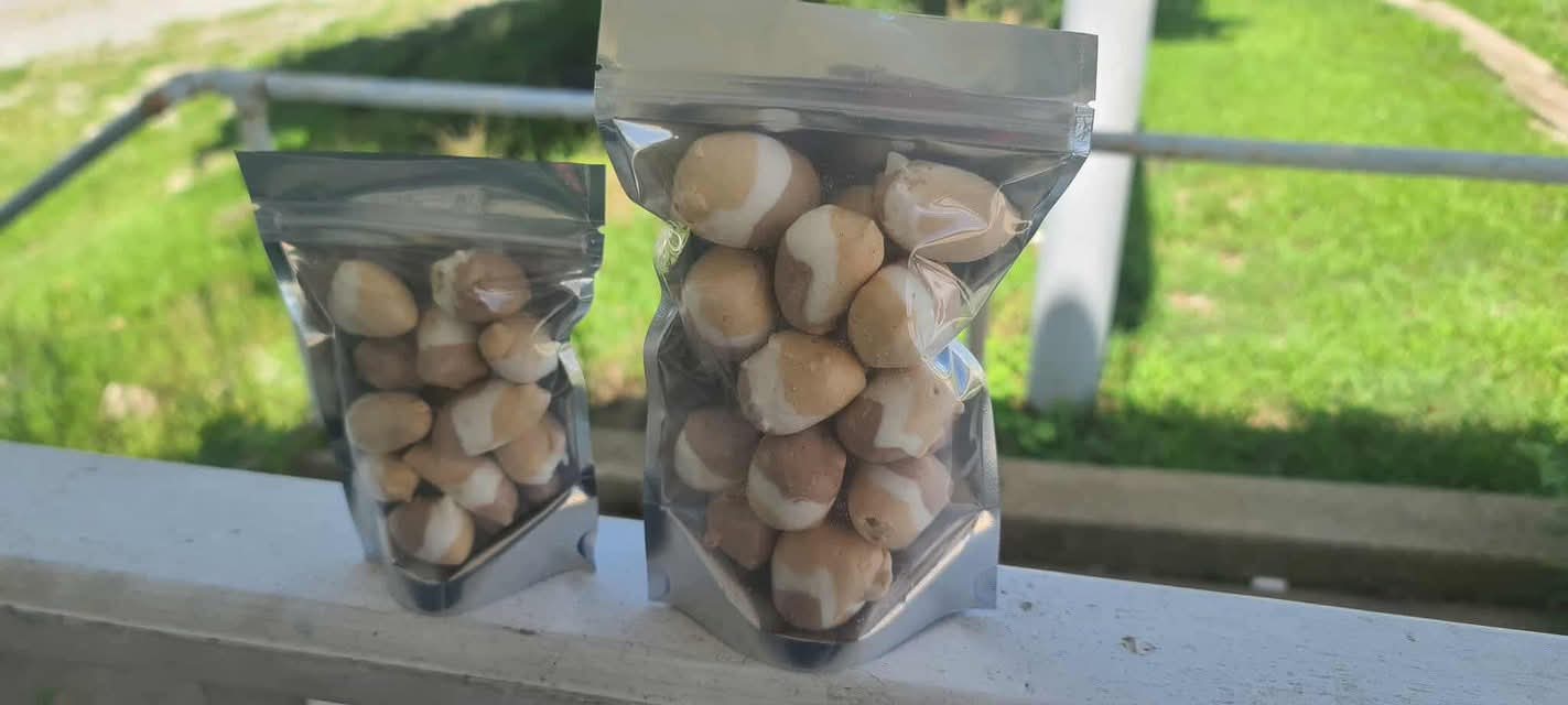 Saltwater Taffy – Freeze Dried Light, Airy, & Packed with Flavor 4 oz