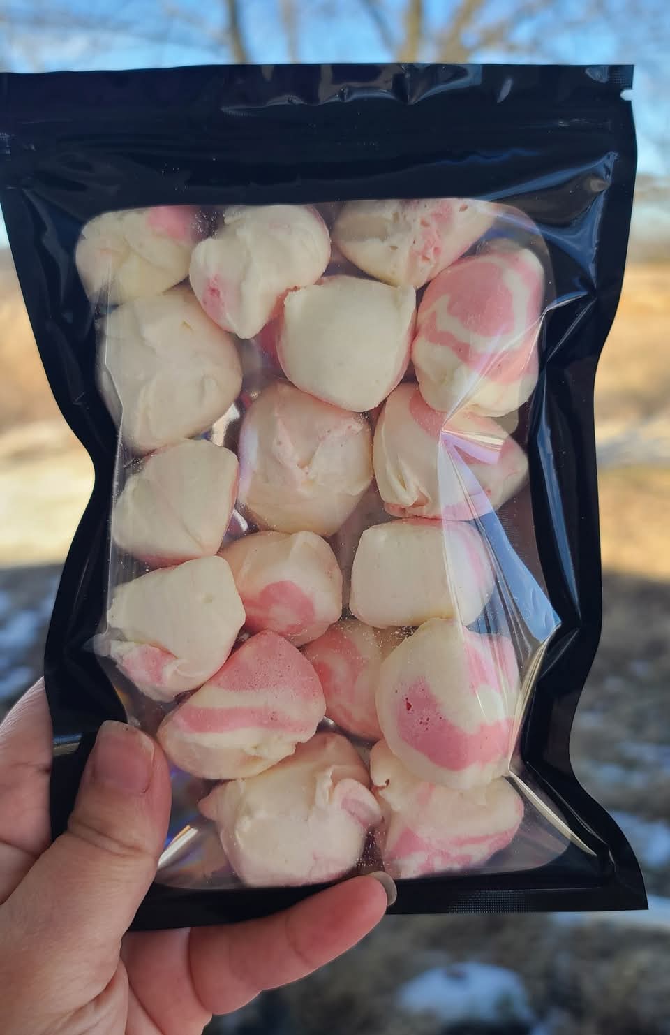 Freeze-Dried Saltwater Taffy – Light, Airy, & Packed with Flavor! 4 oz