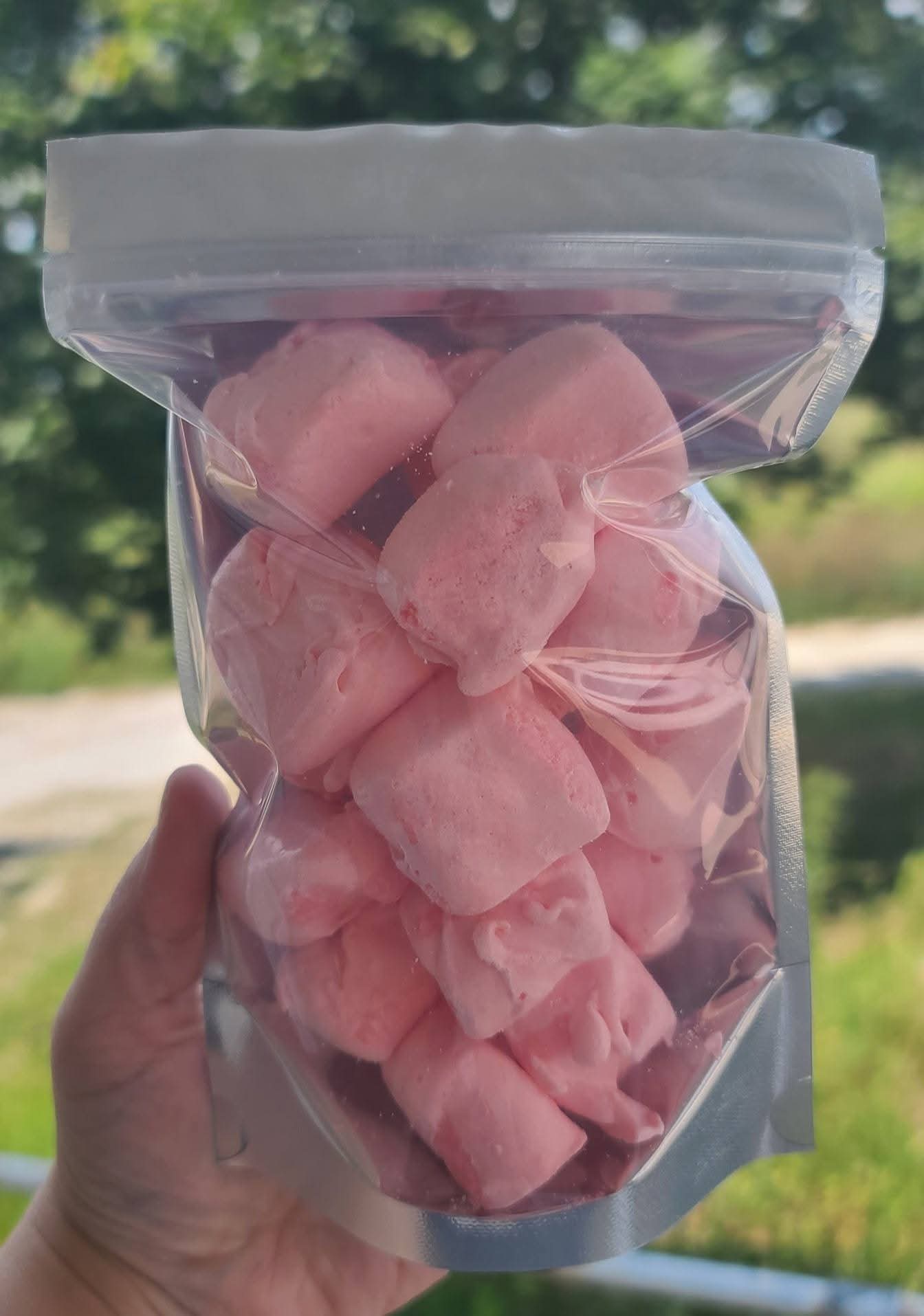 Saltwater Taffy – Freeze Dried Light, Airy, & Packed with Flavor 4 oz