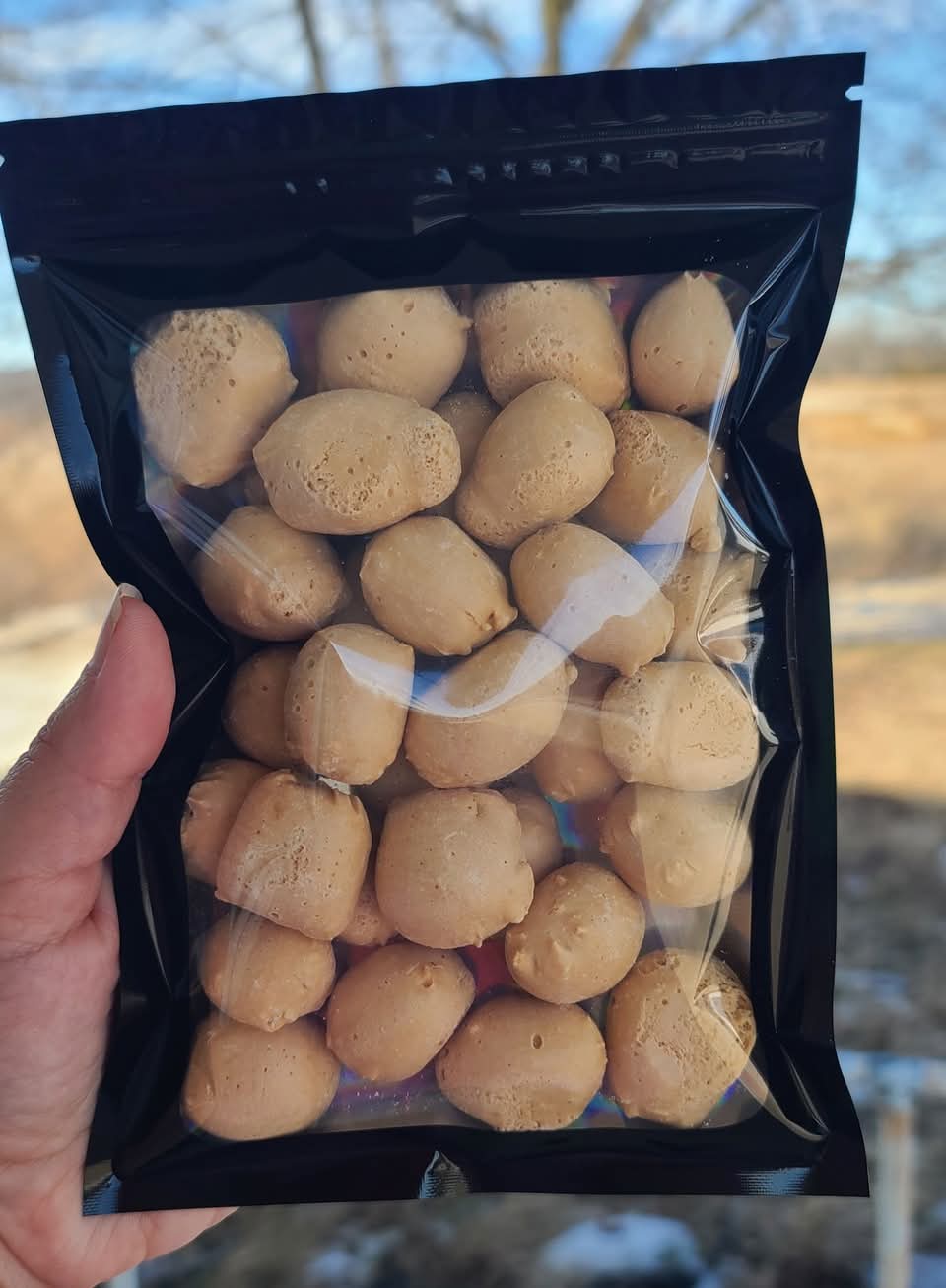 Honey Crunch Nuggets - Freeze-Dried