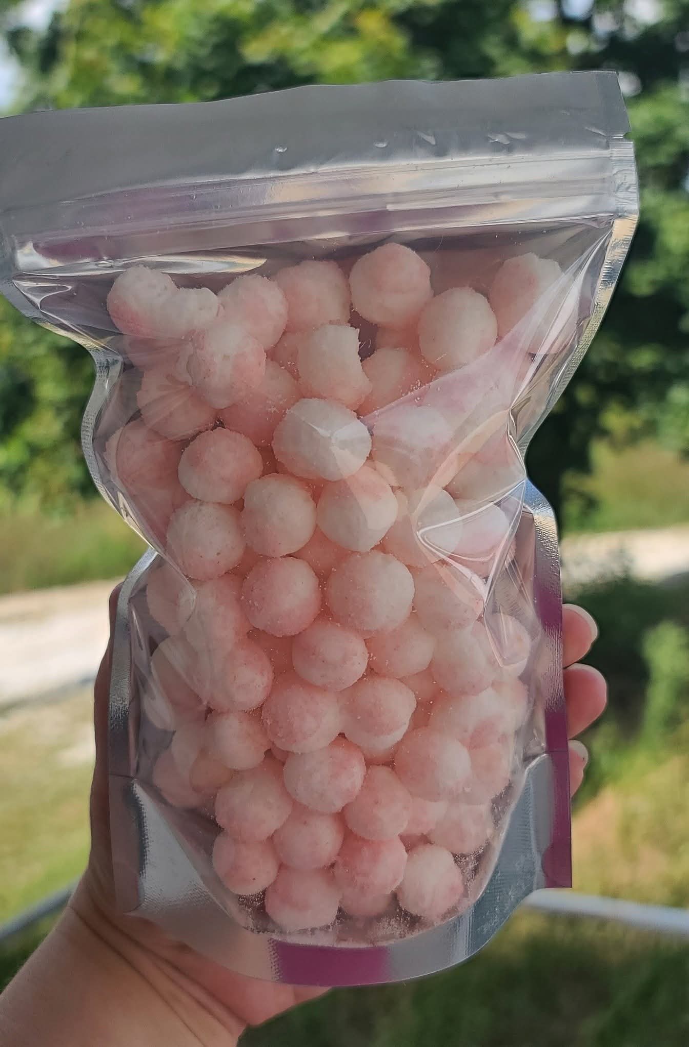 Frittles– Freeze-Dried