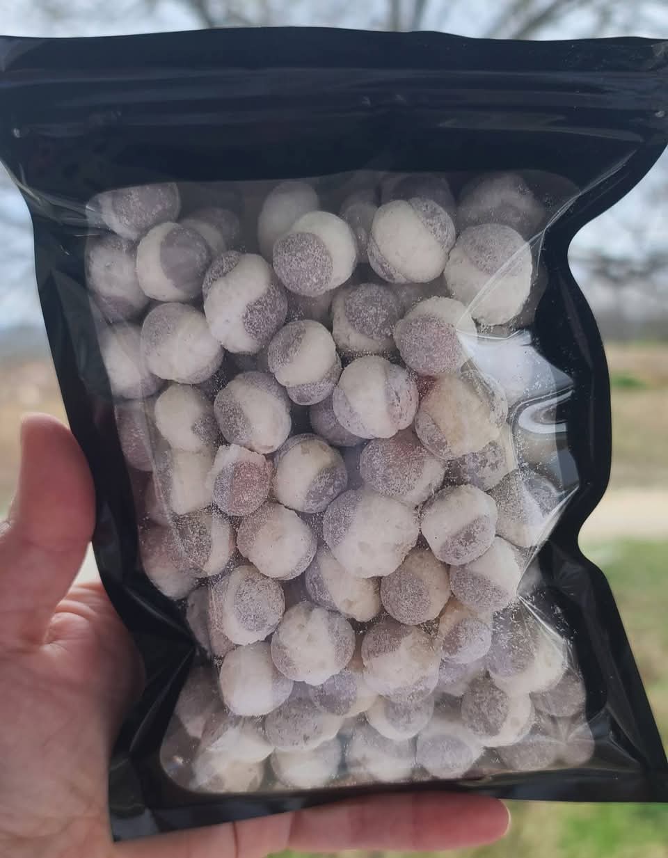 Freeze-Dried Skittles – Unique Flavors & Ultimate Crunch 4.5oz