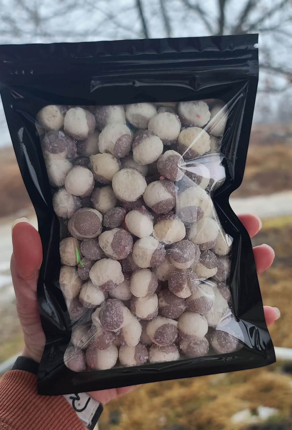 Freeze-Dried Skittles – Unique Flavors & Ultimate Crunch 4.5oz