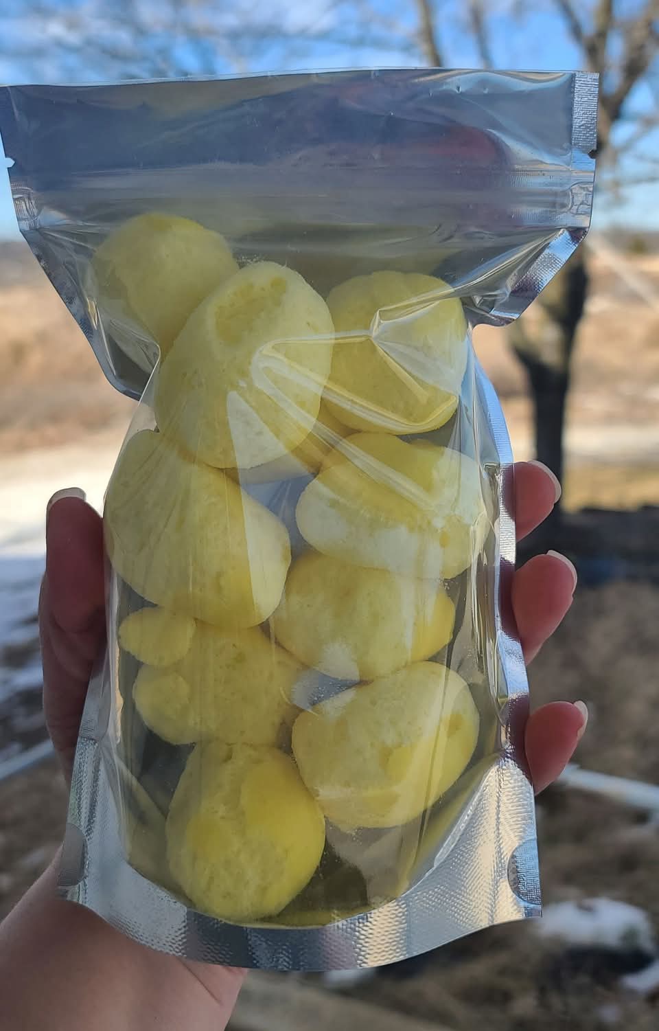 Freeze-Dried Squeeze the Day –(Lemonheads)
Bright, Tangy, and Seriously Crunchy! 4oz