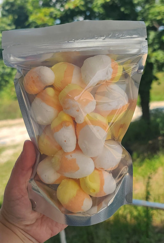 Candy Corn Taffy freeze-dried Halloween treat in orange, yellow, and white