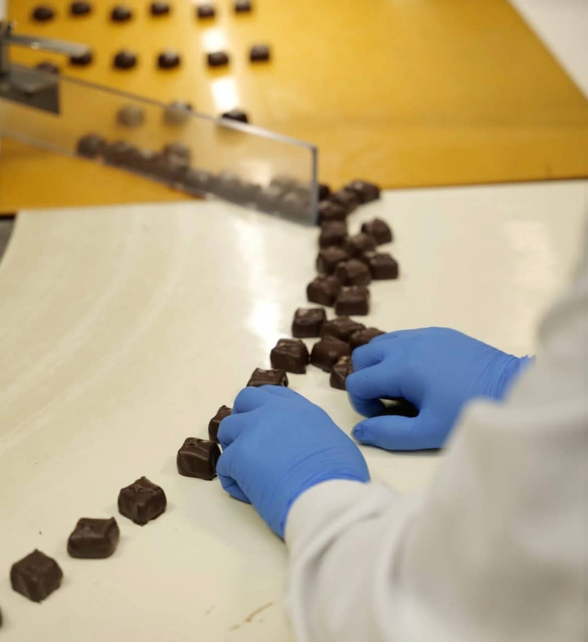 Deluxe Caramel Assortment Milk & Dark Chocolate Gift Box