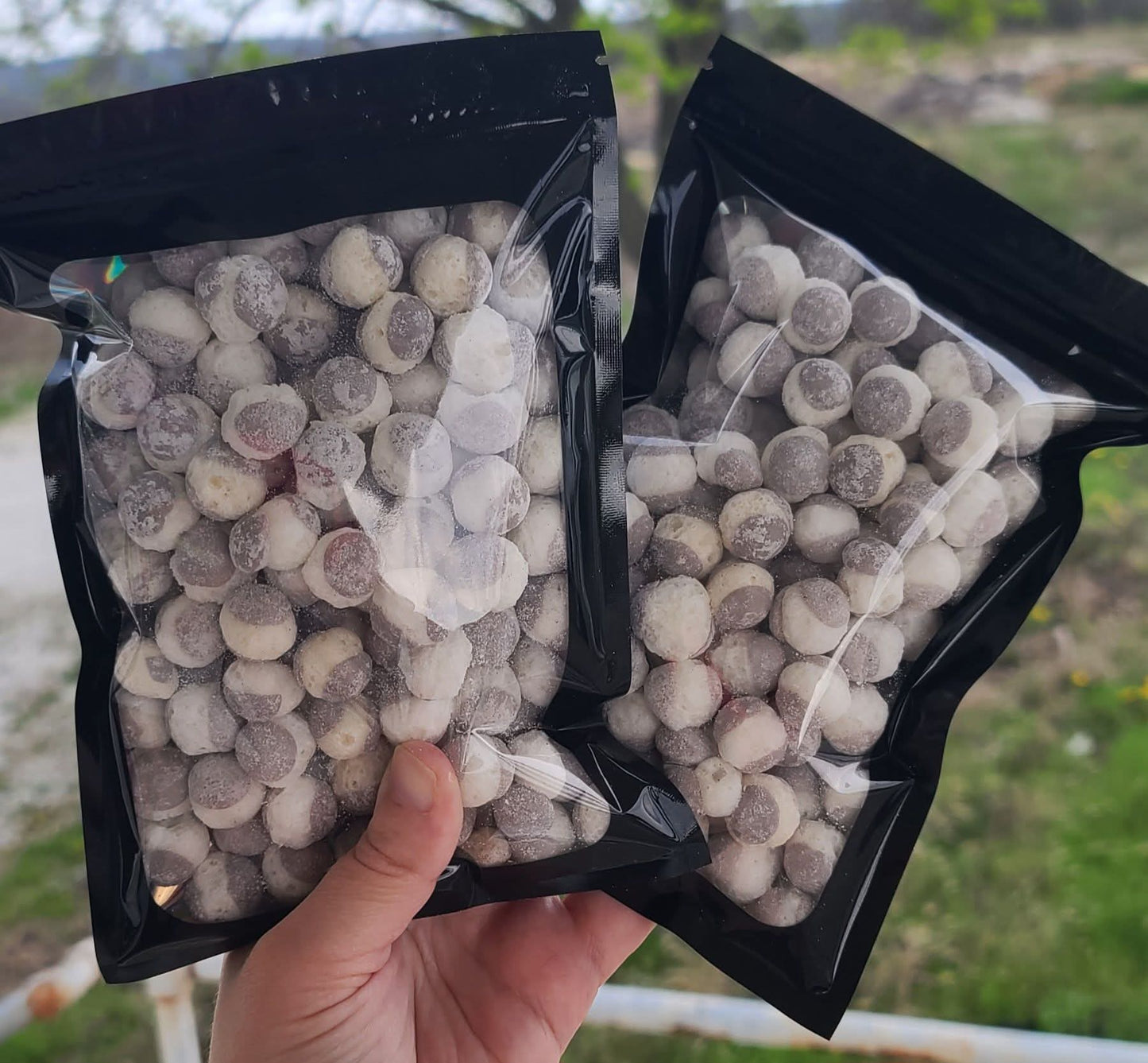 Frittles– Freeze-Dried Unique Flavors & Ultimate Crunch