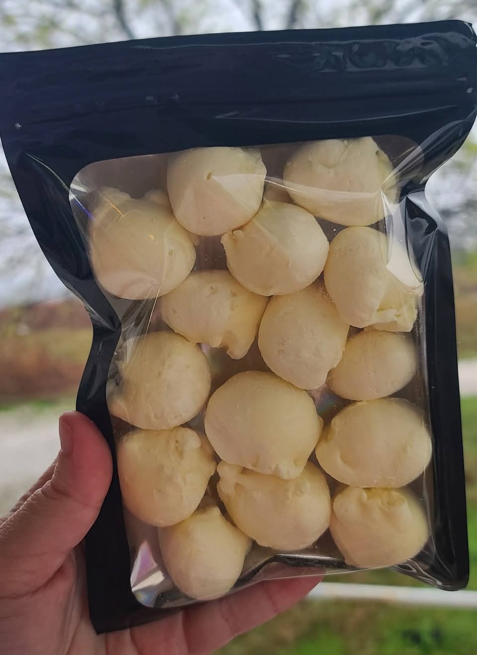Saltwater Taffy – Freeze-Dried Light, Airy, & Packed with Flavor! 4 oz